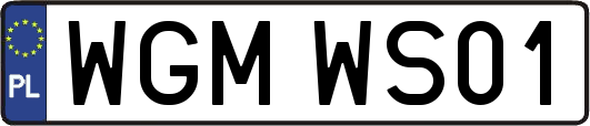 WGMWS01