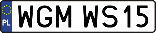 WGMWS15