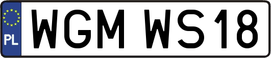 WGMWS18