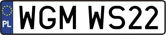 WGMWS22