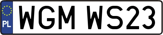 WGMWS23