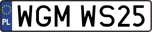 WGMWS25