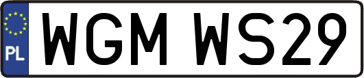 WGMWS29