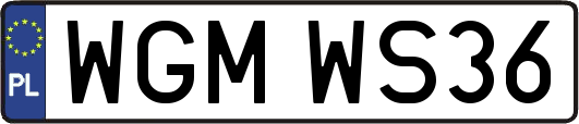 WGMWS36
