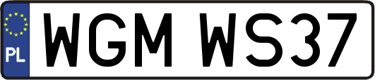WGMWS37