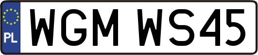 WGMWS45