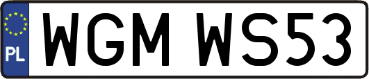 WGMWS53