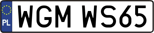 WGMWS65