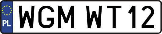 WGMWT12