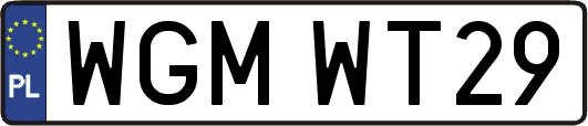 WGMWT29