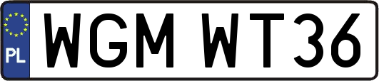 WGMWT36