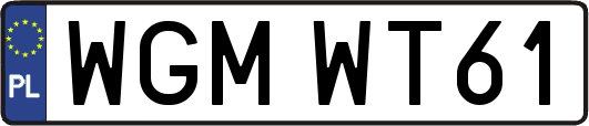 WGMWT61