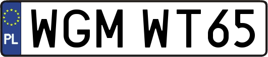 WGMWT65