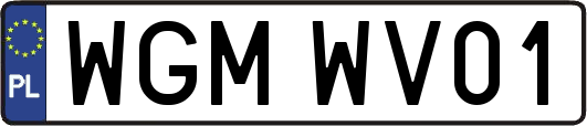 WGMWV01
