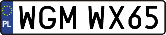 WGMWX65