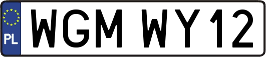 WGMWY12