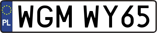 WGMWY65