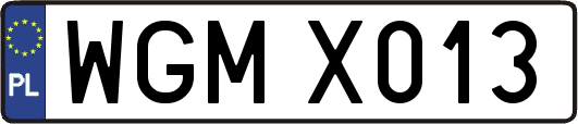 WGMX013