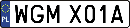 WGMX01A