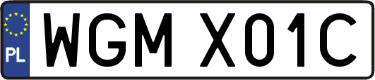 WGMX01C