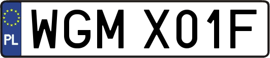WGMX01F