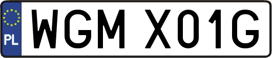 WGMX01G