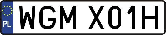 WGMX01H