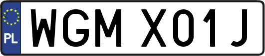 WGMX01J