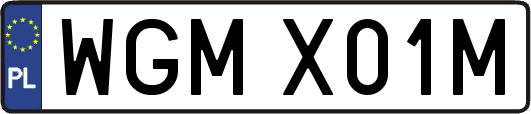 WGMX01M