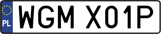 WGMX01P