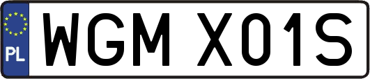 WGMX01S