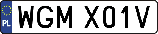 WGMX01V
