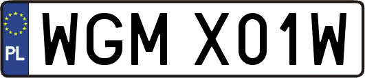 WGMX01W