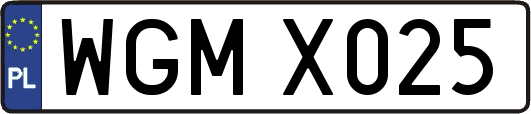 WGMX025