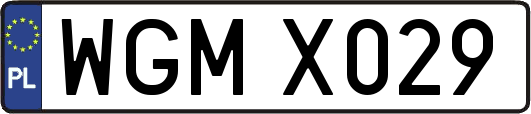 WGMX029