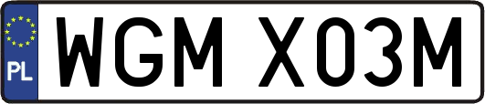 WGMX03M