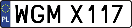 WGMX117