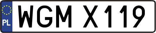 WGMX119