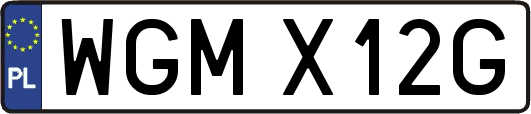 WGMX12G