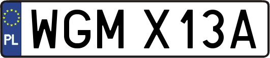 WGMX13A