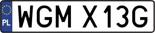WGMX13G
