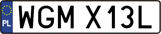 WGMX13L