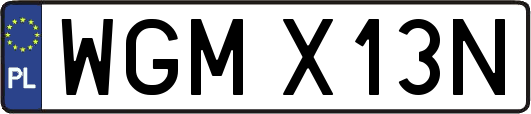 WGMX13N