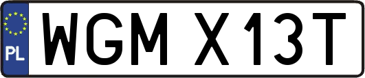 WGMX13T
