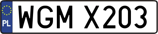 WGMX203