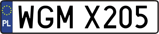 WGMX205