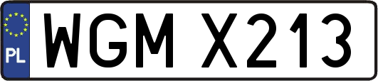 WGMX213