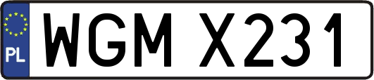 WGMX231