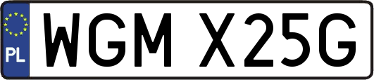 WGMX25G