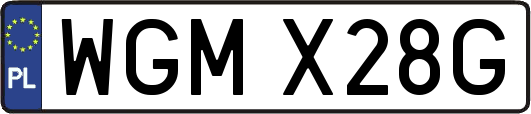 WGMX28G